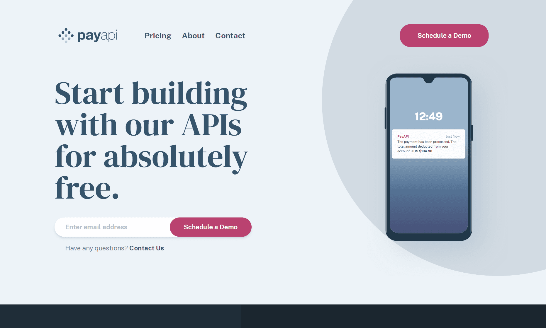 pay api main page for desktop