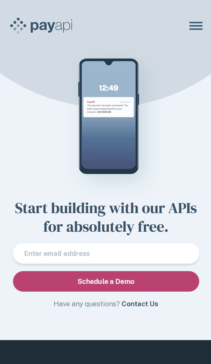 pay api main page for mobile